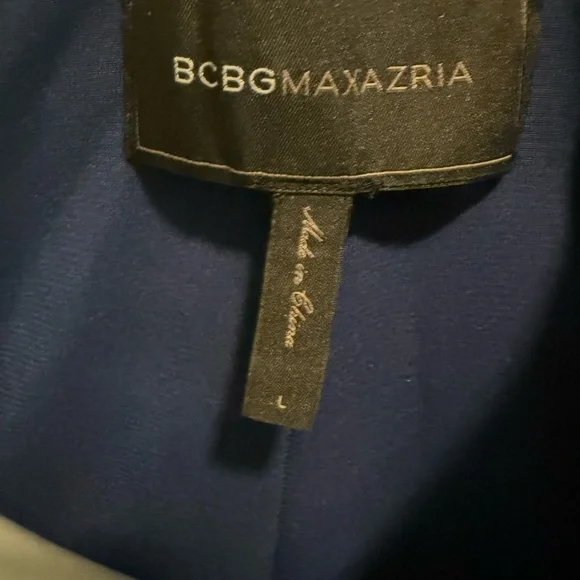 BCBGMaxAzria Blue Crocodile Textured Blazer - Picture 7 of 7